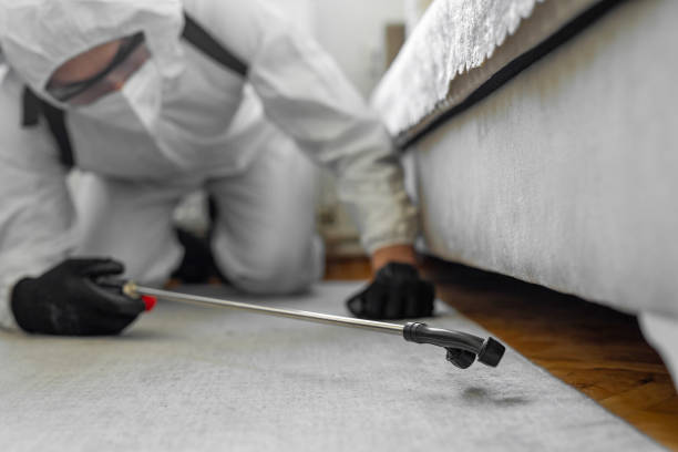 Professional Cockroach Control technician working in Santa Fe, TX
