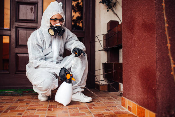 Reliable Cockroach Control contractor in Santa Fe, TX by Nex Pest Control